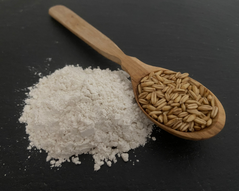 oat fiber Ceresal B2B traders, supplier, producer