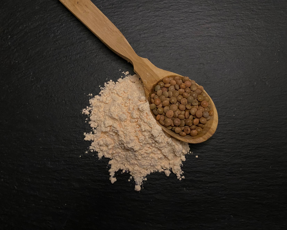 lentil protein