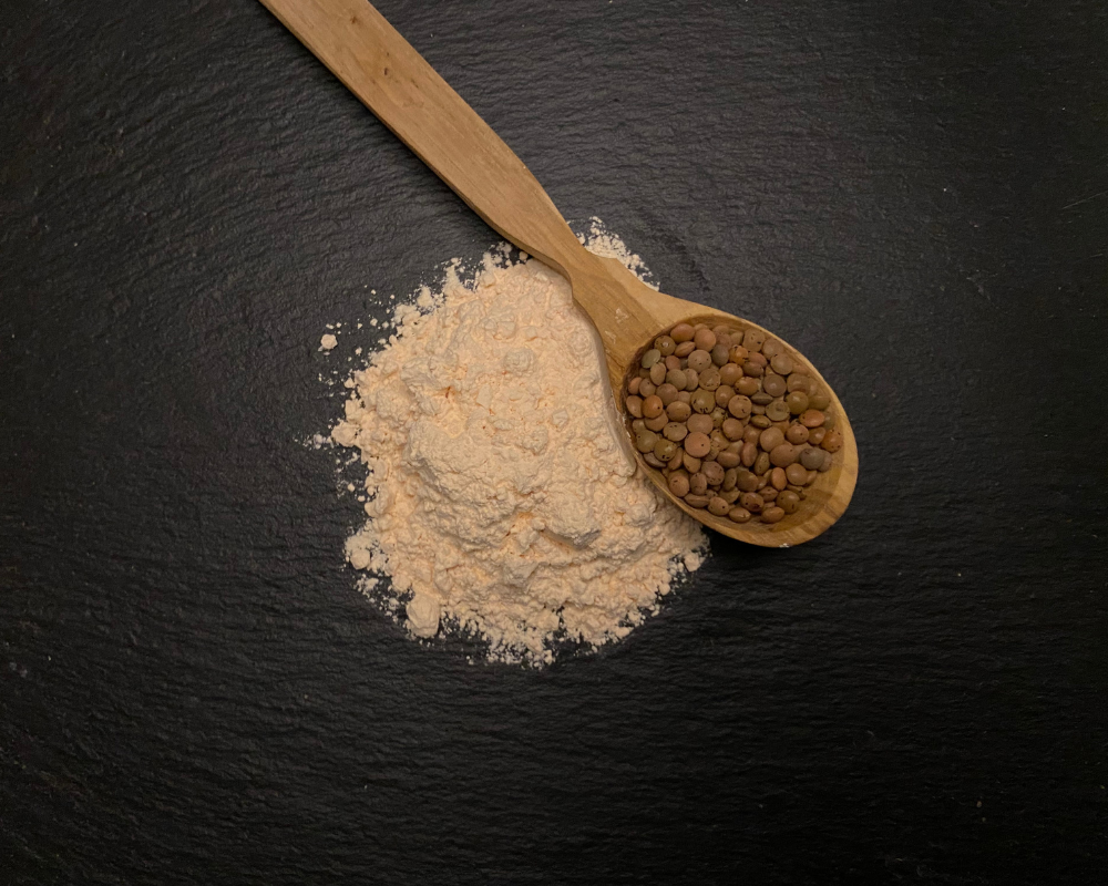 lentil starch flour